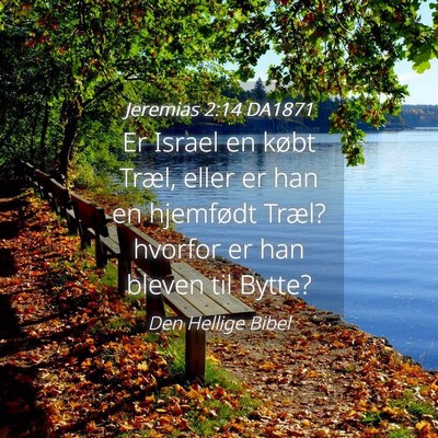 Picture 04 - Jeremias 2:14 DA1871 - Er Israel en købt Træl, eller er han en - Bible Verse Picture
