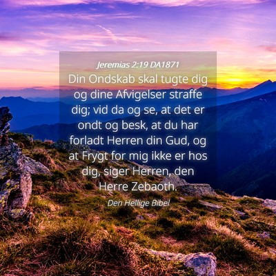 Picture 04 - Jeremias 2:19 DA1871 - Din Ondskab skal tugte dig og dine Afvigelser - Bible Verse Picture