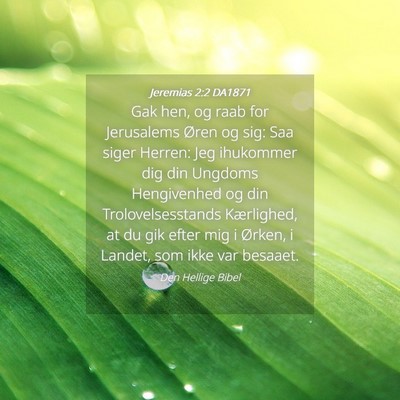 Picture 04 - Jeremias 2:2 DA1871 - Gak hen, og raab for Jerusalems Øren og sig: Saa - Bible Verse Picture