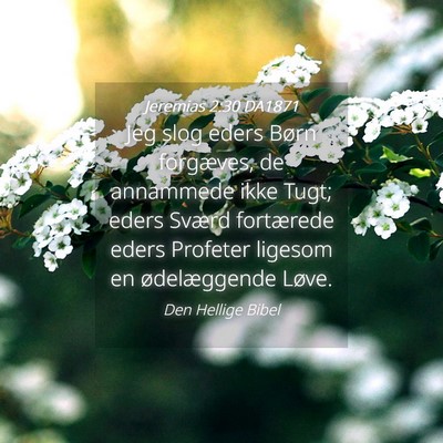 Picture 04 - Jeremias 2:30 DA1871 - Jeg slog eders Børn forgæves, de annammede ikke - Bible Verse Picture