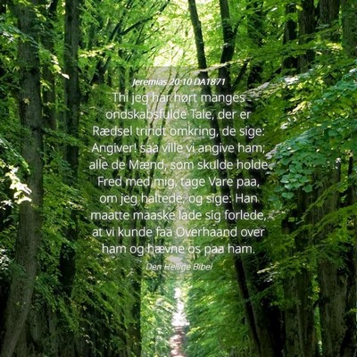Picture 04 - Jeremias 20:10 DA1871 - Thi jeg har hørt manges ondskabsfulde Tale, der - Bible Verse Picture