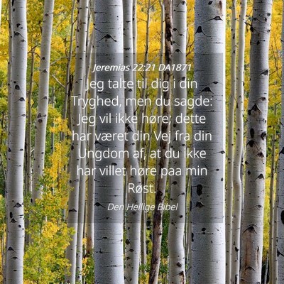 Picture 04 - Jeremias 22:21 DA1871 - Jeg talte til dig i din Tryghed, men du sagde: - Bible Verse Picture