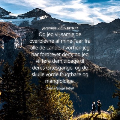 Picture 04 - Jeremias 23:3 DA1871 - Og jeg vil samle de overblevne af mine Faar fra - Bible Verse Picture