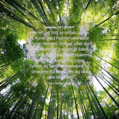 Picture 04 - Jeremias 24:1 DA1871 - Herren lod mig se et Syn, og se, to Kurve med - Bible Verse Picture