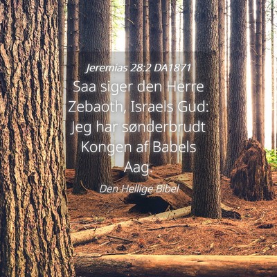 Picture 04 - Jeremias 28:2 DA1871 - Saa siger den Herre Zebaoth, Israels Gud: Jeg har - Bible Verse Picture
