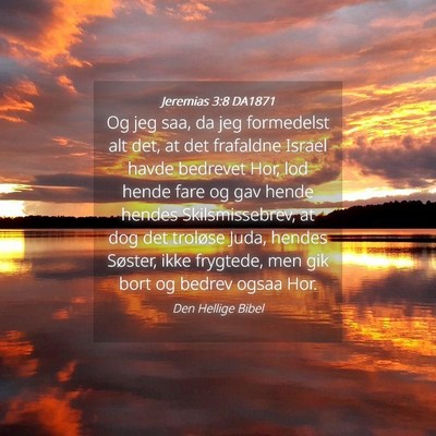 Picture 04 - Jeremias 3:8 DA1871 - Og jeg saa, da jeg formedelst alt det, at det - Bible Verse Picture