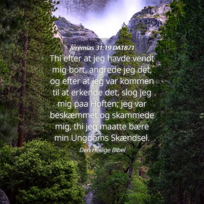 Picture 04 - Jeremias 31:19 DA1871 - Thi efter at jeg havde vendt mig bort, angrede - Bible Verse Picture