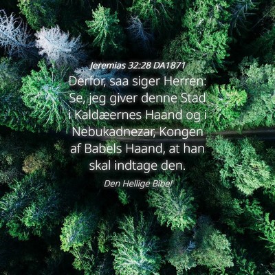 Picture 04 - Jeremias 32:28 DA1871 - Derfor, saa siger Herren: Se, jeg giver denne - Bible Verse Picture
