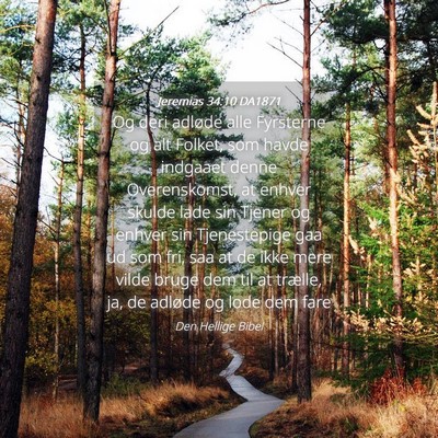Picture 04 - Jeremias 34:10 DA1871 - Og deri adløde alle Fyrsterne og alt Folket, som - Bible Verse Picture