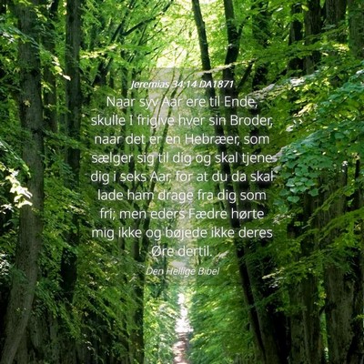 Picture 04 - Jeremias 34:14 DA1871 - Naar syv Aar ere til Ende, skulle I frigive hver - Bible Verse Picture