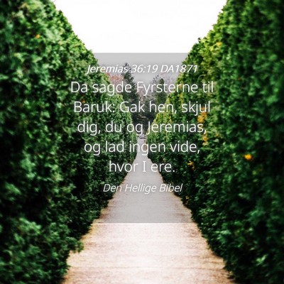 Picture 04 - Jeremias 36:19 DA1871 - Da sagde Fyrsterne til Baruk: Gak hen, skjul dig, - Bible Verse Picture