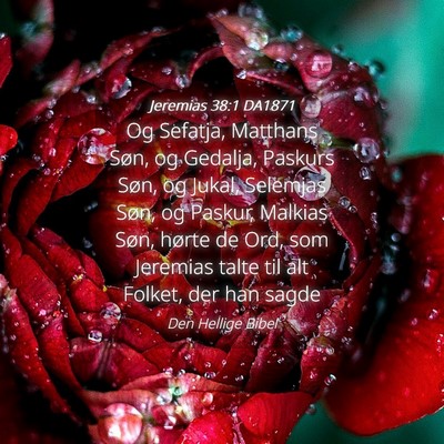 Picture 04 - Jeremias 38:1 DA1871 - Og Sefatja, Matthans Søn, og Gedalja, Paskurs - Bible Verse Picture