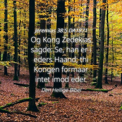 Picture 04 - Jeremias 38:5 DA1871 - Og Kong Zedekias sagde: Se, han er i eders Haand; - Bible Verse Picture