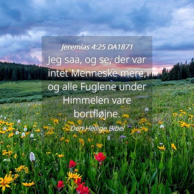 Picture 04 - Jeremias 4:25 DA1871 - Jeg saa, og se, der var intet Menneske mere, og - Bible Verse Picture