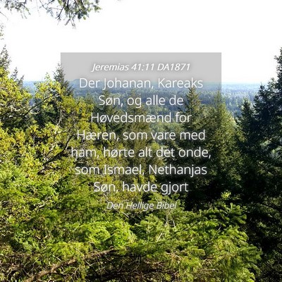 Picture 04 - Jeremias 41:11 DA1871 - Der Johanan, Kareaks Søn, og alle de - Bible Verse Picture