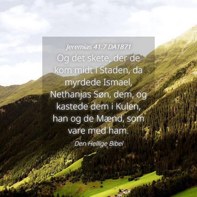 Picture 04 - Jeremias 41:7 DA1871 - Og det skete, der de kom midt i Staden, da - Bible Verse Picture