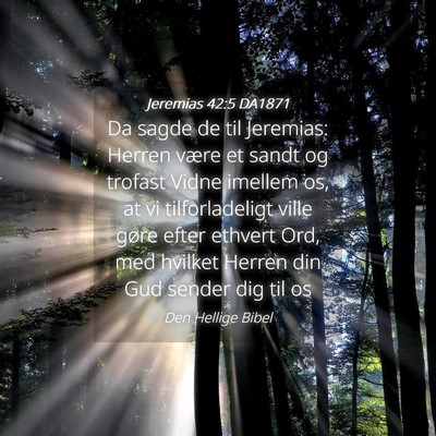 Picture 04 - Jeremias 42:5 DA1871 - Da sagde de til Jeremias: Herren være et sandt - Bible Verse Picture