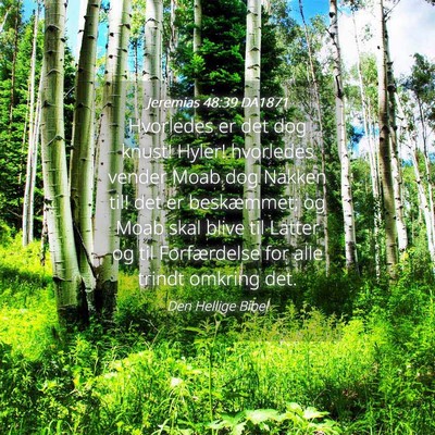 Picture 04 - Jeremias 48:39 DA1871 - Hvorledes er det dog knust! Hyler! hvorledes - Bible Verse Picture