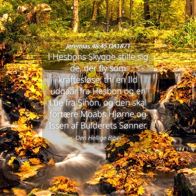 Picture 04 - Jeremias 48:45 DA1871 - I Hesbons Skygge stille sig de, der fly som - Bible Verse Picture