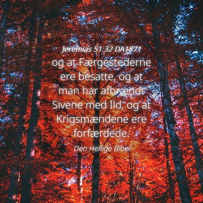 Picture 04 - Jeremias 51:32 DA1871 - og at Færgestederne ere besatte, og at man har - Bible Verse Picture