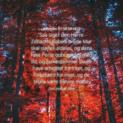 Picture 04 - Jeremias 51:58 DA1871 - Saa siger den Herre Zebaoth: Babels brede Mur - Bible Verse Picture