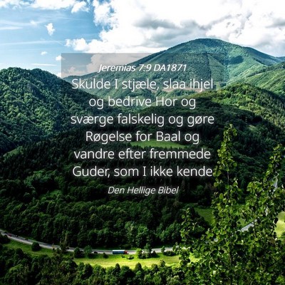 Picture 04 - Jeremias 7:9 DA1871 - Skulde I stjæle, slaa ihjel og bedrive Hor og - Bible Verse Picture