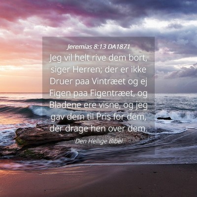 Picture 04 - Jeremias 8:13 DA1871 - Jeg vil helt rive dem bort, siger Herren; der er - Bible Verse Picture