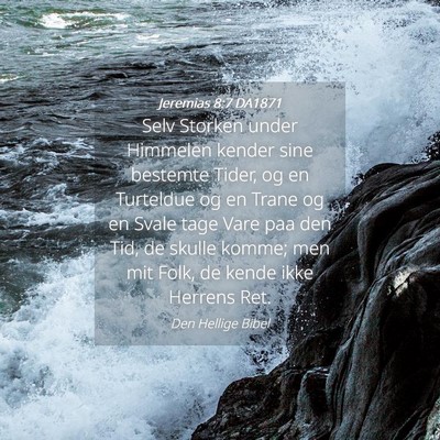 Picture 04 - Jeremias 8:7 DA1871 - Selv Storken under Himmelen kender sine bestemte - Bible Verse Picture