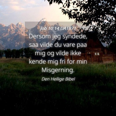 Picture 04 - Job 10:14 DA1871 - Dersom jeg syndede, saa vilde du vare paa mig og - Bible Verse Picture