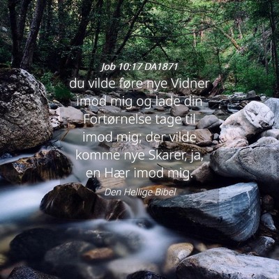 Picture 04 - Job 10:17 DA1871 - du vilde føre nye Vidner imod mig og lade din - Bible Verse Picture