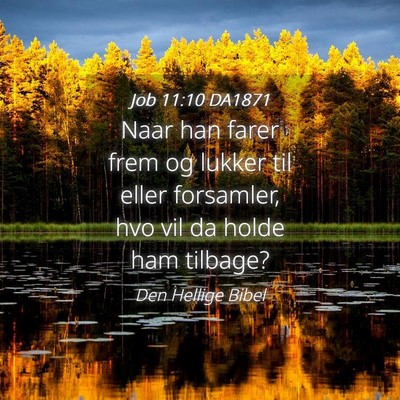 Picture 04 - Job 11:10 DA1871 - Naar han farer frem og lukker til eller - Bible Verse Picture