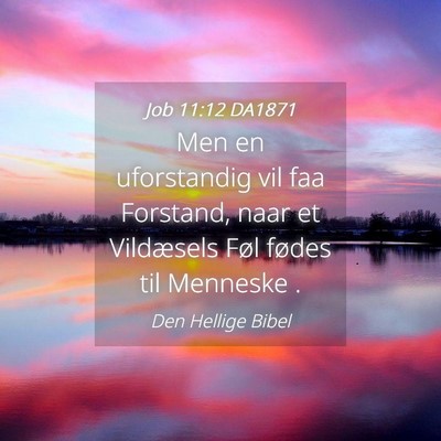 Picture 04 - Job 11:12 DA1871 - Men en uforstandig vil faa Forstand, naar et - Bible Verse Picture