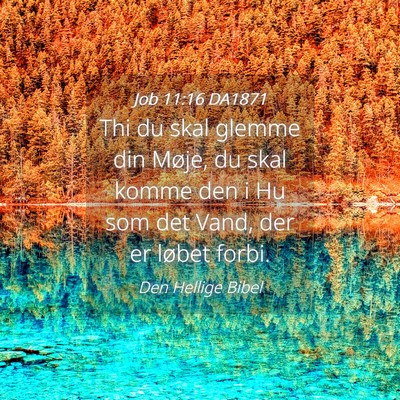 Picture 04 - Job 11:16 DA1871 - Thi du skal glemme din Møje, du skal komme den i - Bible Verse Picture
