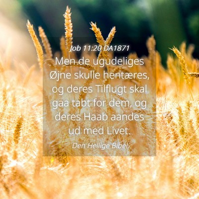 Picture 04 - Job 11:20 DA1871 - Men de ugudeliges Øjne skulle hentæres, og - Bible Verse Picture