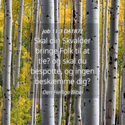 Picture 04 - Job 11:3 DA1871 - Skal din Skvalder bringe Folk til at tie? og skal - Bible Verse Picture