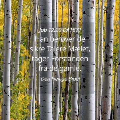 Picture 04 - Job 12:20 DA1871 - Han berøver de sikre Talere Mælet, tager - Bible Verse Picture