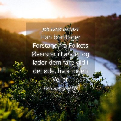 Picture 04 - Job 12:24 DA1871 - Han borttager Forstand fra Folkets Øverster i - Bible Verse Picture