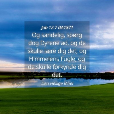 Picture 04 - Job 12:7 DA1871 - Og sandelig, spørg dog Dyrene ad, og de skulle - Bible Verse Picture