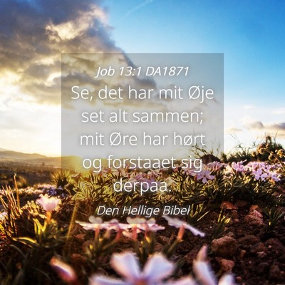 Picture 04 - Job 13:1 DA1871 - Se, det har mit Øje set alt sammen; mit Øre har - Bible Verse Picture