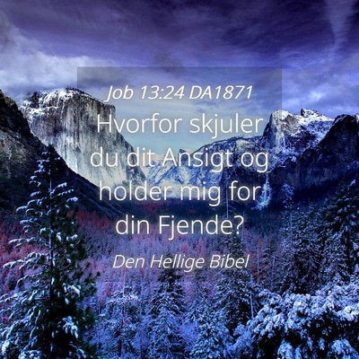 Picture 04 - Job 13:24 DA1871 - Hvorfor skjuler du dit Ansigt og holder mig for - Bible Verse Picture