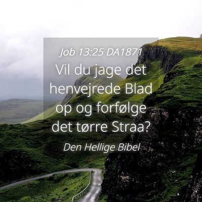 Picture 04 - Job 13:25 DA1871 - Vil du jage det henvejrede Blad op og forfølge - Bible Verse Picture