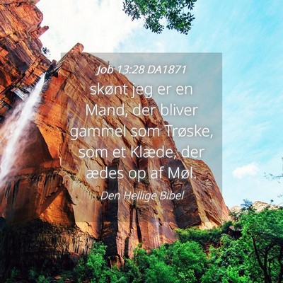 Picture 04 - Job 13:28 DA1871 - skønt jeg er en Mand, der bliver gammel som - Bible Verse Picture