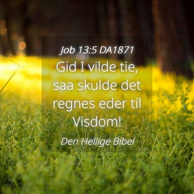Picture 04 - Job 13:5 DA1871 - Gid I vilde tie, saa skulde det regnes eder til - Bible Verse Picture