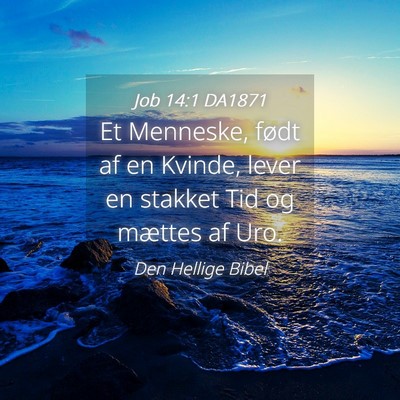 Picture 04 - Job 14:1 DA1871 - Et Menneske, født af en Kvinde, lever en stakket - Bible Verse Picture