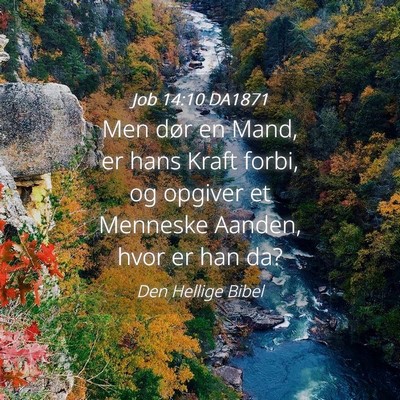 Picture 04 - Job 14:10 DA1871 - Men dør en Mand, er hans Kraft forbi, og opgiver - Bible Verse Picture