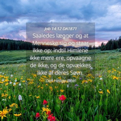 Picture 04 - Job 14:12 DA1871 - Saaledes lægger og at Menneske sig og staar ikke - Bible Verse Picture