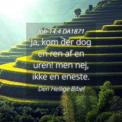 Picture 04 - Job 14:4 DA1871 - Ja, kom der dog en ren af en uren! men nej, ikke - Bible Verse Picture
