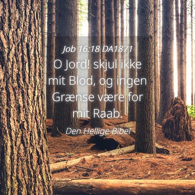 Picture 04 - Job 16:18 DA1871 - O Jord! skjul ikke mit Blod, og ingen Grænse - Bible Verse Picture