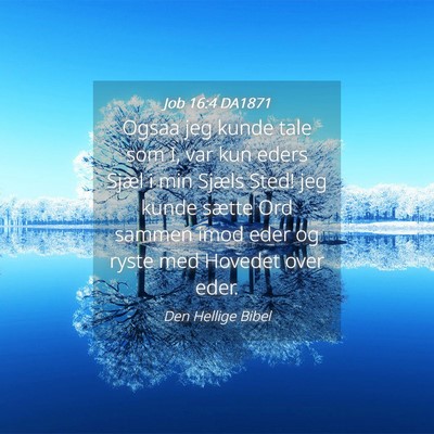 Picture 04 - Job 16:4 DA1871 - Ogsaa jeg kunde tale som I, var kun eders Sjæl i - Bible Verse Picture