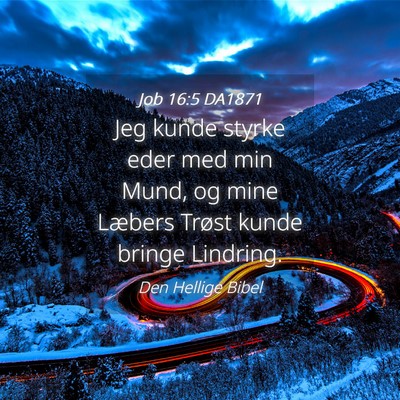 Picture 04 - Job 16:5 DA1871 - Jeg kunde styrke eder med min Mund, og mine - Bible Verse Picture